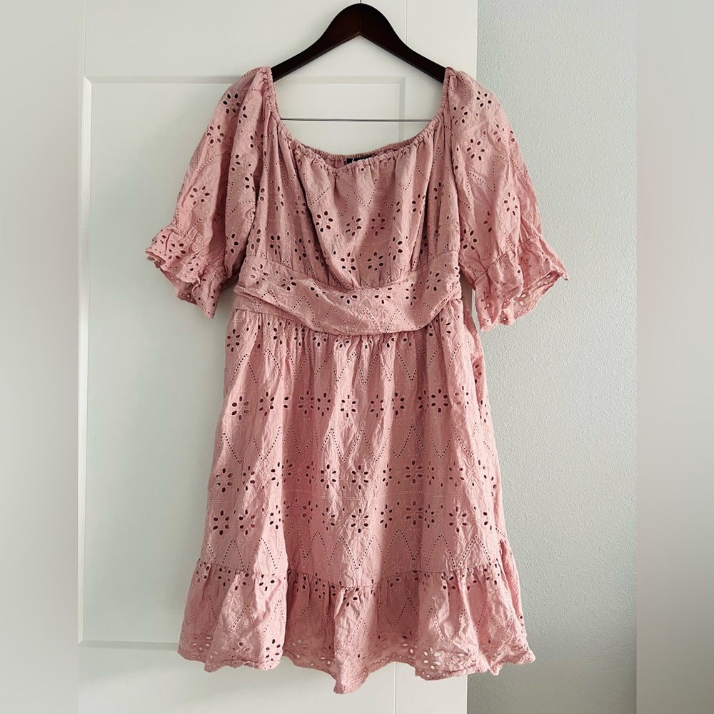 Pretty Garden Dusty Pink Eyelet Mini Dress